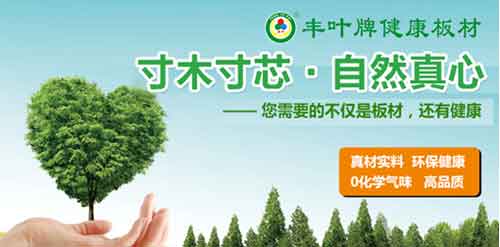 豐葉板材品牌，釋放健康新力量