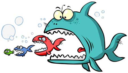 面對(duì)“大魚(yú)吃小魚(yú)”局面 防盜門(mén)企業(yè)如何應(yīng)對(duì)?