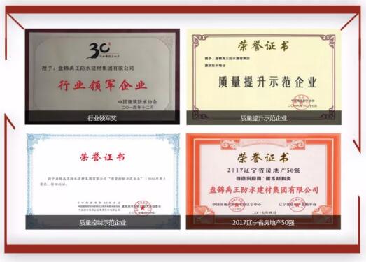 防水材料品牌榮譽(yù)|禹王集團(tuán)榮獲中國(guó)建材企業(yè)200強(qiáng)等