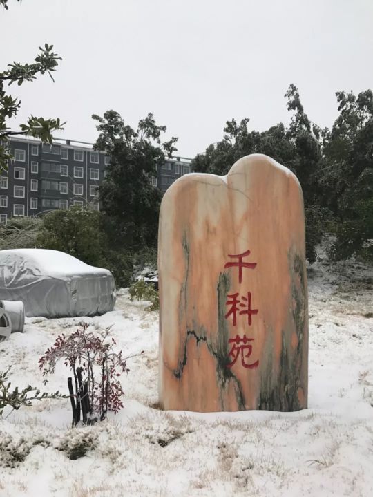 千科潘遠(yuǎn)宏：智能產(chǎn)品、智慧營(yíng)銷一手抓，智能終端是品牌最后浪潮