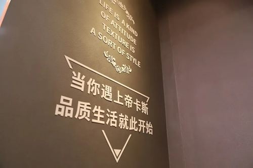 【2020廣州建博會】帝卡斯藝術漆獨領風騷 展館人氣爆棚！